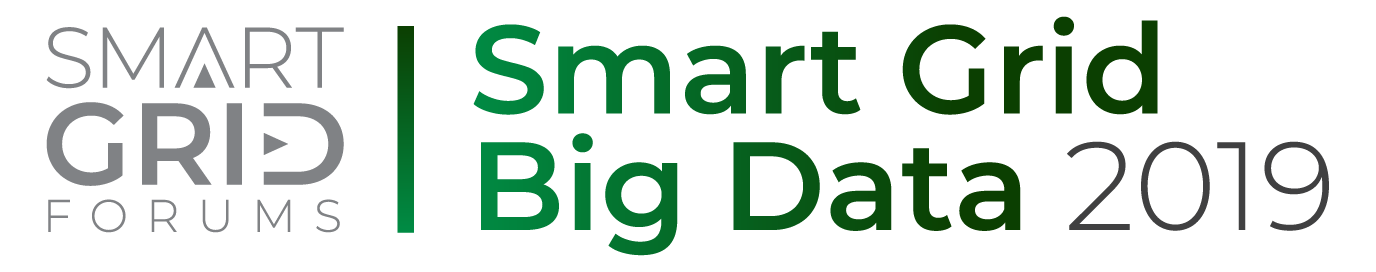 Smart Grid Big Data 2019
